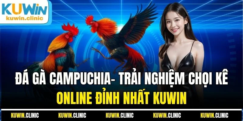 Đá Gà Campuchia- Trải Nghiệm Chọi Kê Online Đỉnh Nhất KUWIN