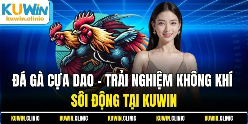 Đá Gà Cựa Dao - Trải Nghiệm Không Khí Sôi Động Tại KUWIN