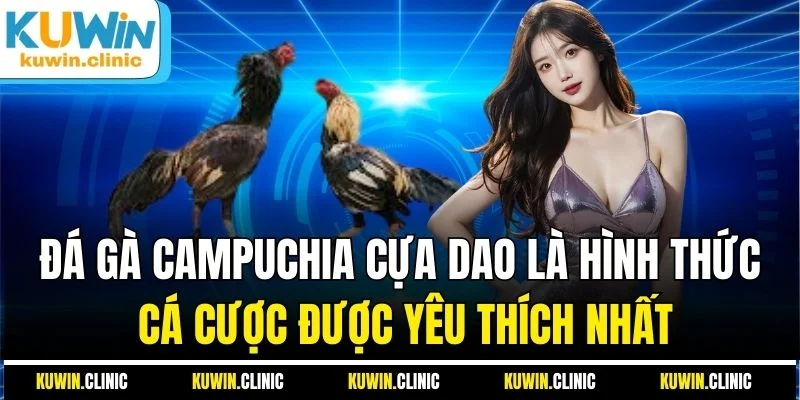 Đá gà Campuchia cựa dao là hình thức cá cược được yêu thích nhất Đá gà Campuchia cựa dao là hình thức cá cược được yêu thích nhất