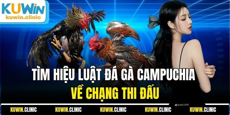 Tìm hiệu luật đá gà Campuchia về chạng thi đấu Tìm hiệu luật đá gà Campuchia về chạng thi đấu