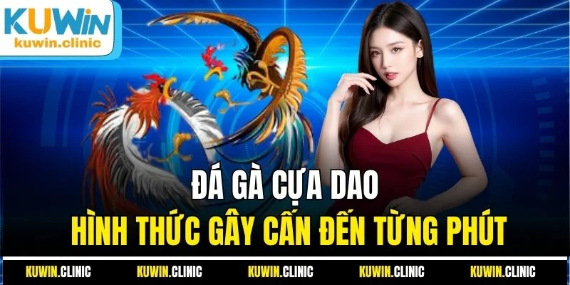 Đá gà cựa dao hình thức gây cấn đến từng phút Đá gà cựa dao hình thức gây cấn đến từng phút