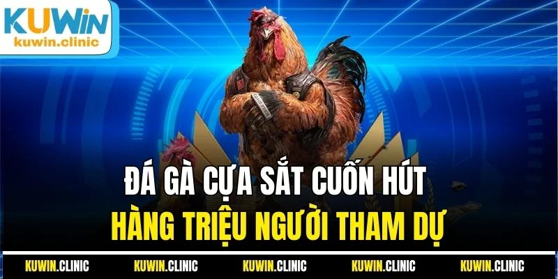 Đá gà cựa sắt cuốn hút hàng triệu người tham dự Đá gà cựa sắt cuốn hút hàng triệu người tham dự