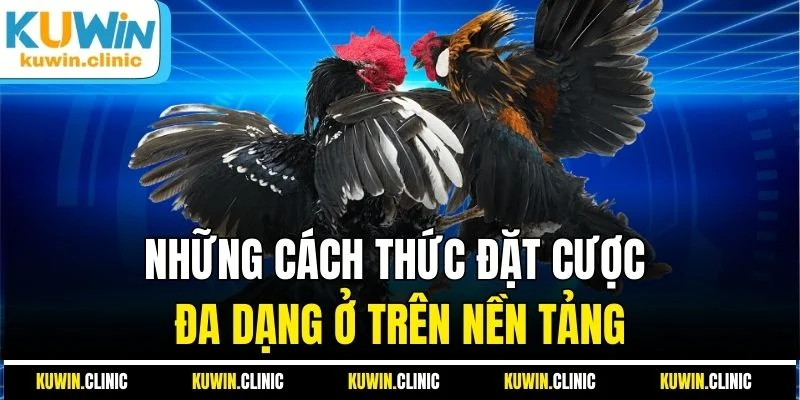 Những cách thức đặt cược đa dạng ở trên nền tảng Những cách thức đặt cược đa dạng ở trên nền tảng